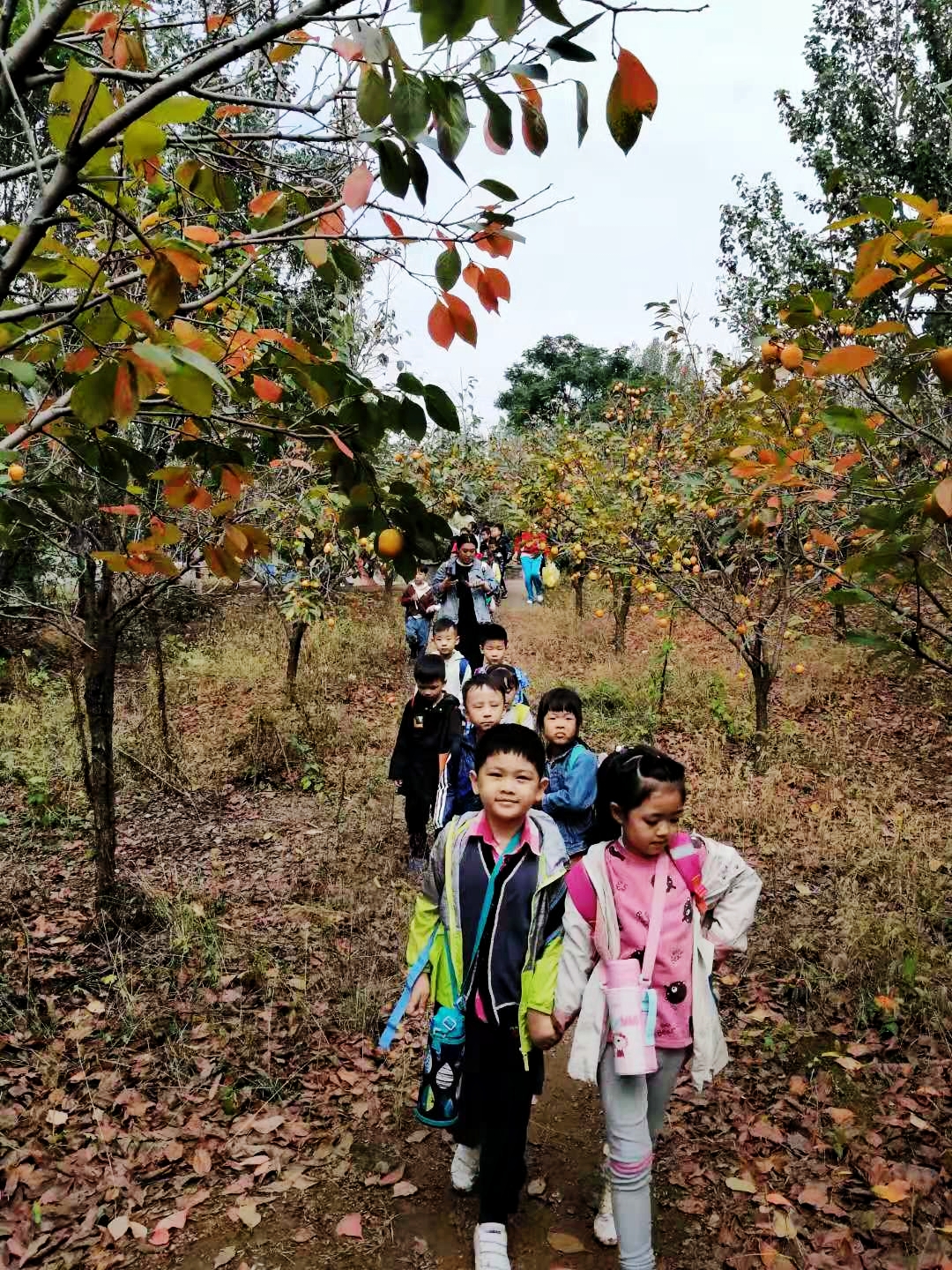 1571643649134289pE3C.jpg 微信圖片_201910211129436.jpg